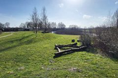 Natuurspeeltuin - Boomstammen